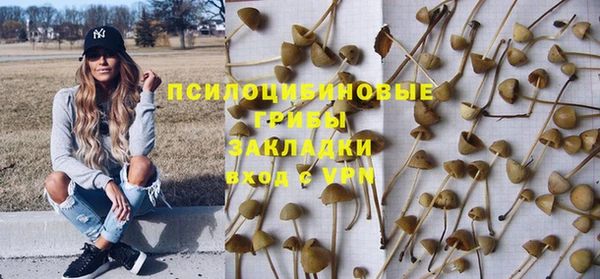 амф Абдулино