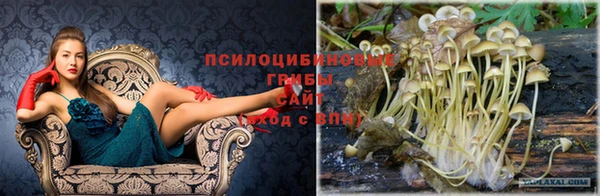 эйфоретик Абаза