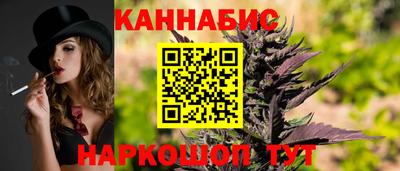 мдпв Кингисепп