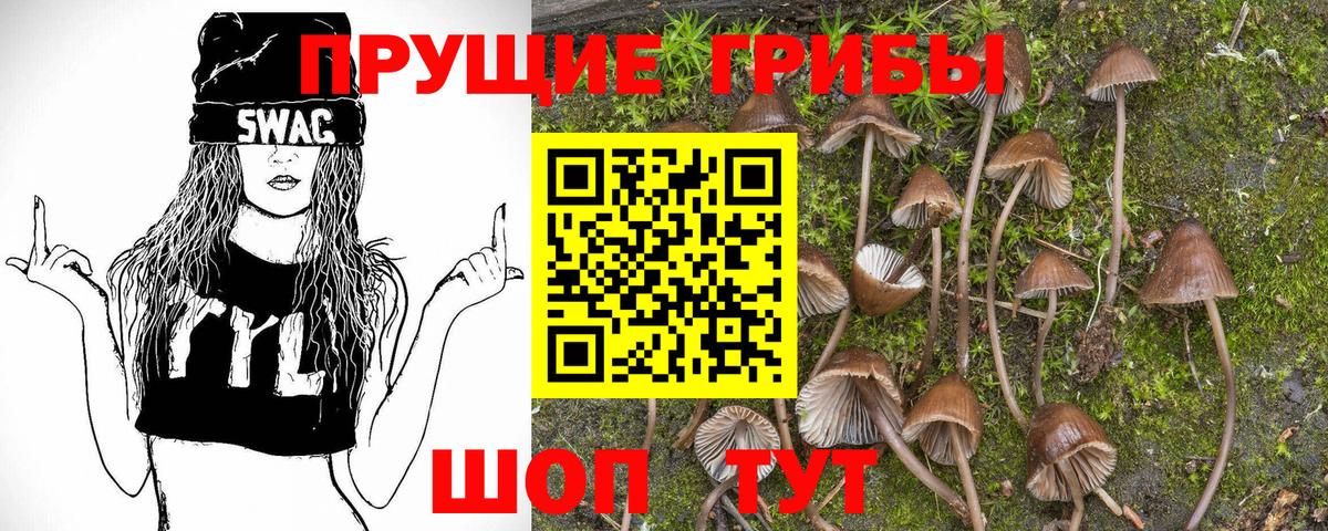 Галлюциногенные грибы GOLDEN TEACHER Ивантеевка