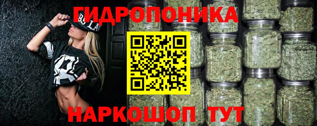 Конопля SATIVA & INDICA  Шишки марихуана конопля  Вход с VPN  Марихуана OG Kush  Ивантеевка 